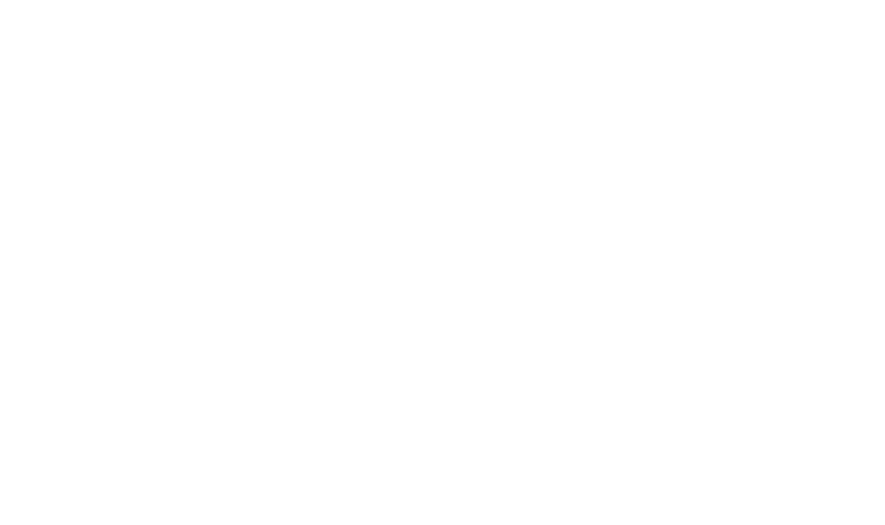 Ergo Consulting